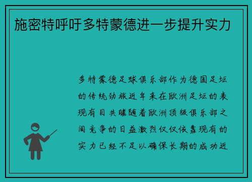 施密特呼吁多特蒙德进一步提升实力